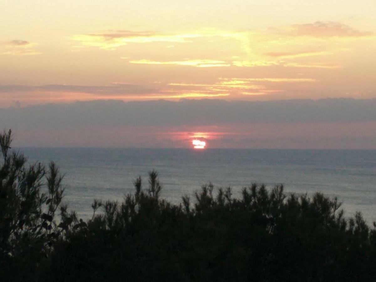 Oasi Del Cuore - Due Graziose Camere Con Vista Mare A 7 Min Dal Mare Di Castiglioncello Exterior photo